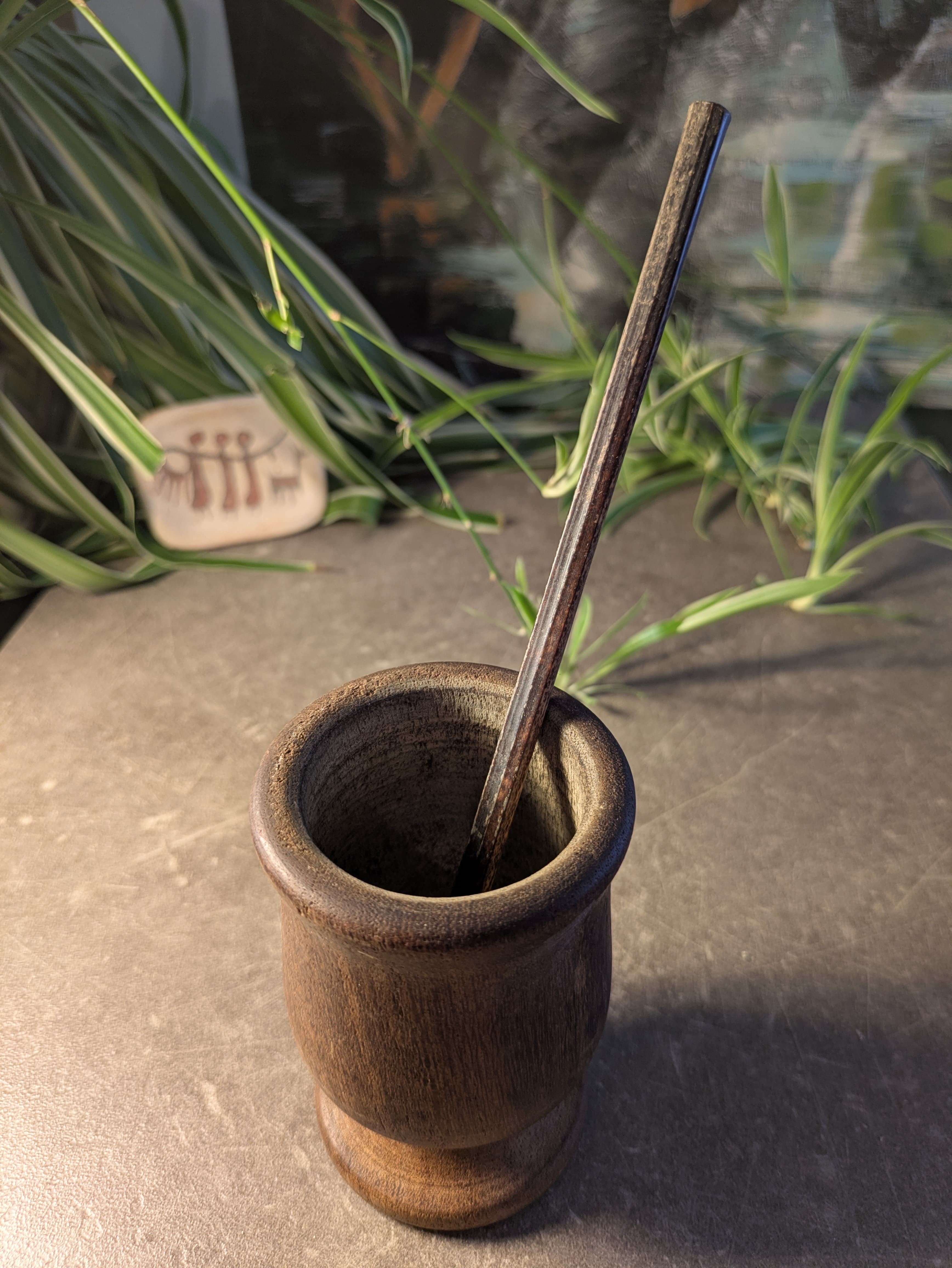 Bambilla dans une tasse en bois pour infusion